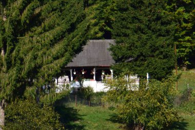 Doğanın güzel manzarası