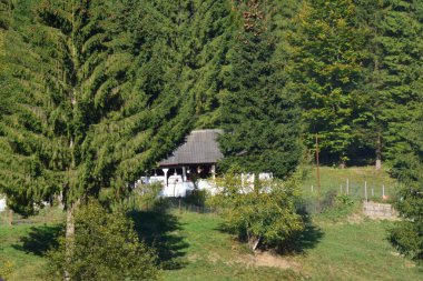 Görkemli ortaçağ mimari binasının manzarası