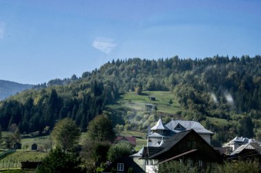 Güneşin altında yeşilliklerle kaplı güzel bir dağ manzarası.