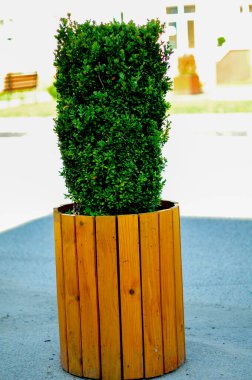 Sokaktaki dekoratif ahşap bank.