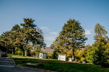 Dağlardaki evin önündeki ağaçlar.