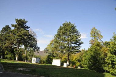 Gündüz vakti Bohinj şehrinde.