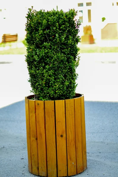 Sokaktaki dekoratif ahşap bank.