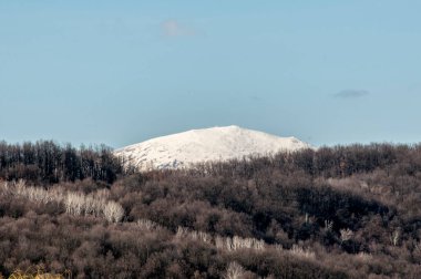 karla kaplı ağaçlar ve dağlar