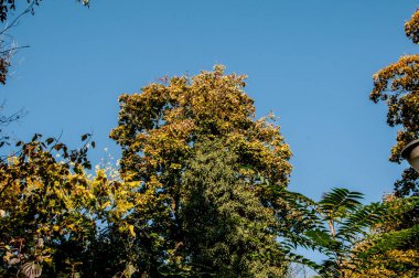 Parkın güzel manzarası