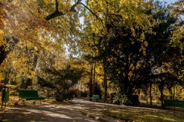 Doğanın güzel manzarası