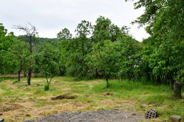 Güzel doğa manzarası.