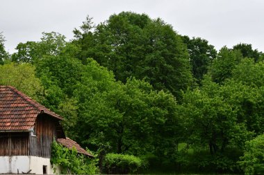 ormanda güzel bir ev