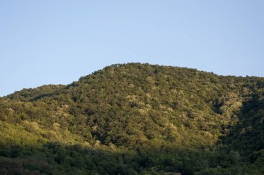 Karpat Dağlarının güzel manzarası