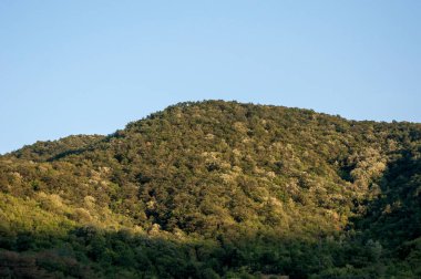 Dağ manzarası. yüksek kaliteli fotoğraf