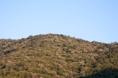 Dağlardaki dağ manzarası