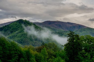 Karpat dağlarındaki dağ vadisi