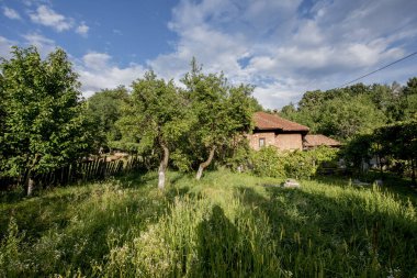 Doğanın güzel manzarası