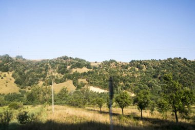 Ağaçları ve mavi gökyüzü olan güzel bir manzara.