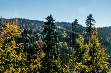 Karpatlar sonbaharda