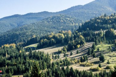 Karpat Dağları 'ndaki güzel dağ manzarası