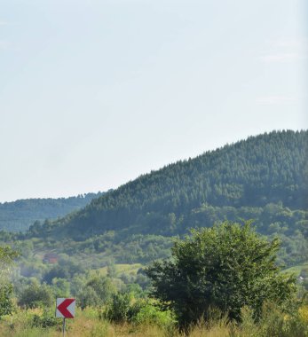 Dağlardaki yeşil orman ve yol