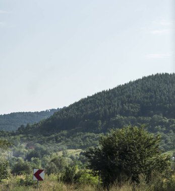 Yeşil orman manzarası ve dağlardaki yol.