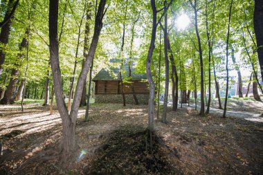 Ormanın güneşli bir gününde yeşil bir parkta ahşap bir çardak. Baharın dinlenme konsepti..