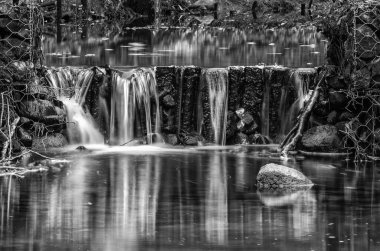 CASCADE - Sonbahar manzarasında orman deresi