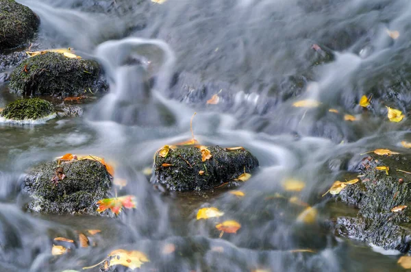 AUTUMN ON THE BROOK - Yellowed leaves and stones in a rushing river current