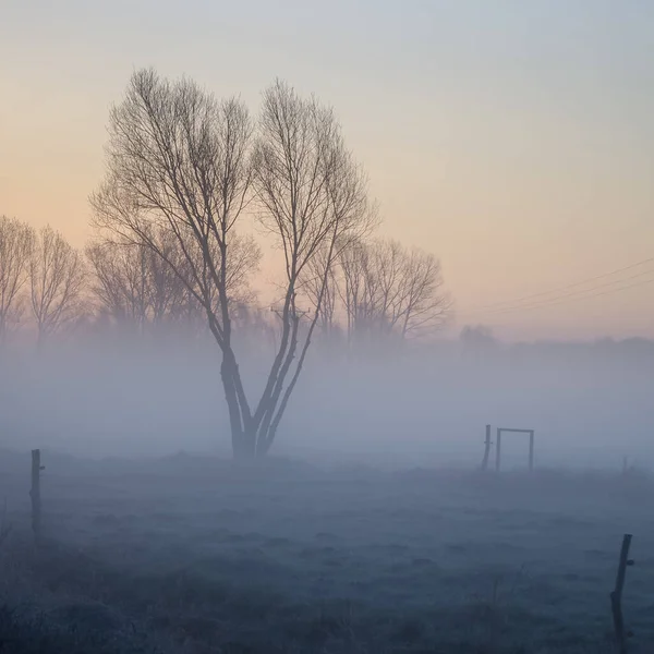 Misty Sunrise Uma Manhã Pitoresca Sobre Prados — Fotografia de Stock