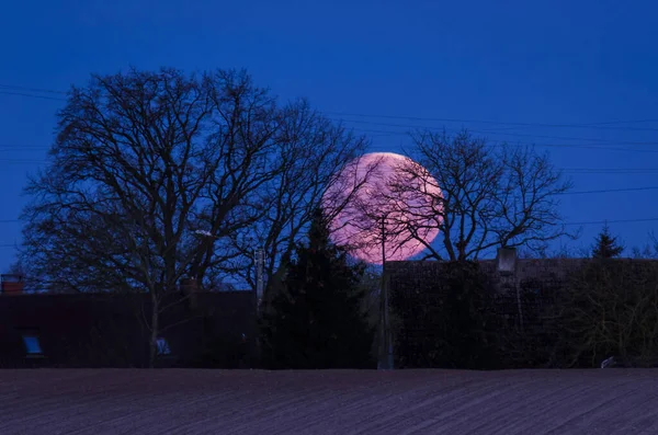 Full Moon Спутник Земли Фоне Деревьев Деревенских Домов — стоковое фото