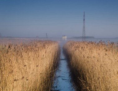 MISTY RIVER - Çayırların üzerinde resim gibi bir sabah