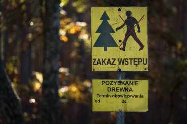 SILVICULTURE - Sarı panolar ormana grafikler ve 