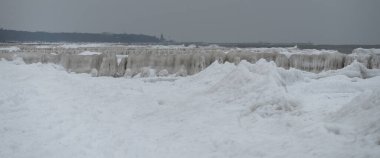 Deniz kıyısındaki dondurucu kış - Buzlu deniz kıyıları ve kıyı şeridini kaplayan ahşap ağaçlar