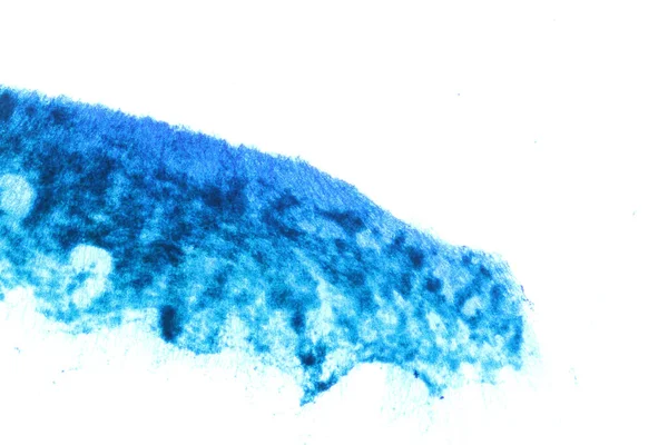 Penicillium Ascomycetous Houby Mají Zásadní Význam Přírodním Prostředí Stejně Jako — Stock fotografie