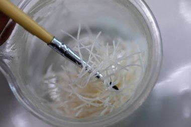 Hücre bölünmesi ve hücre döngüsü mikroskop altında.