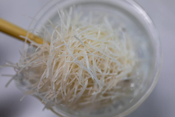 Cell Division and Cell Cycle under the microscope.