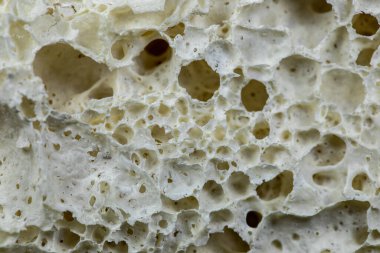 Laboratuvar deneylerinden karışık kauçuk substratları.