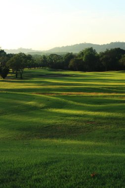 Gün batımında güzel golf sahası, gün doğumunda.