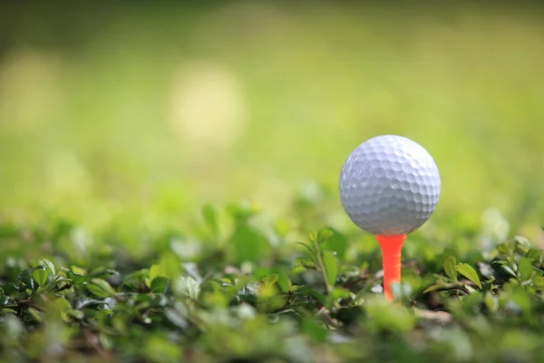 Golf Sahası Vurmaya Hazır Tatil Sezonu Golf Sahası Konsepti Için — Stok fotoğraf