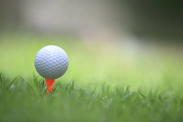 Golfbal Tee Spel — Stockfoto