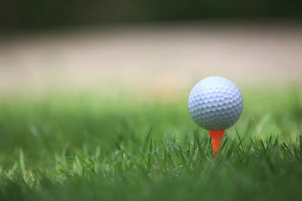 Boule Golf Sur Tee Prêt Être Tiré Pour Saison Des — Photo