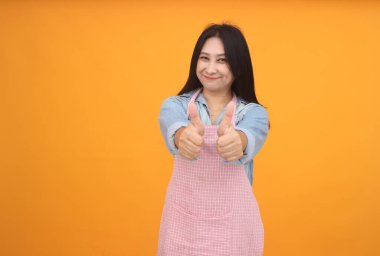Mutlu Asyalı kadın yemek pişirmek için önlükle yemek pişiriyor. Sarı arka planda reklam teması..