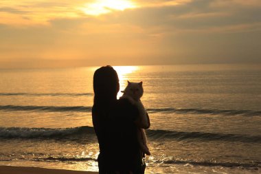 Kumsalda kedisi olan bir kadın, gün batımında kedisi olan Asyalı bir kadın, gün batımında silueti olan bir kadın. 