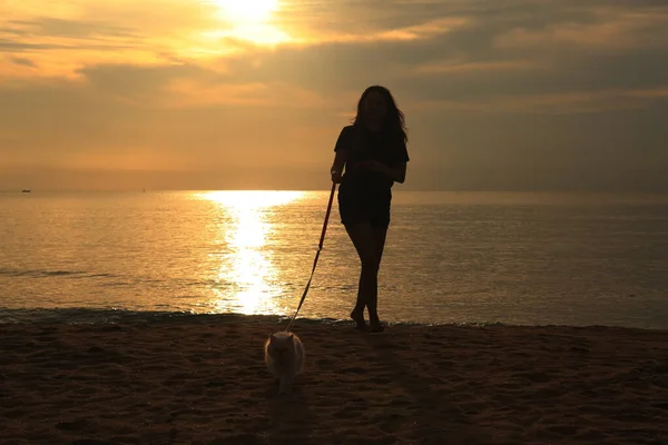 Donna Con Gatto Sulla Spiaggia Giovane Donna Asiatica Con Suo — Foto Stock