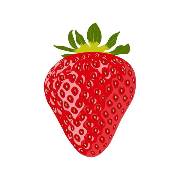 Ripe strawberry isolated on a white — Stock Vector