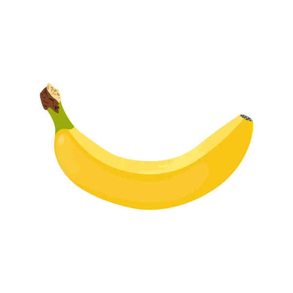 Banana sobre fundo branco.Fechar de banana — Vetor de Stock