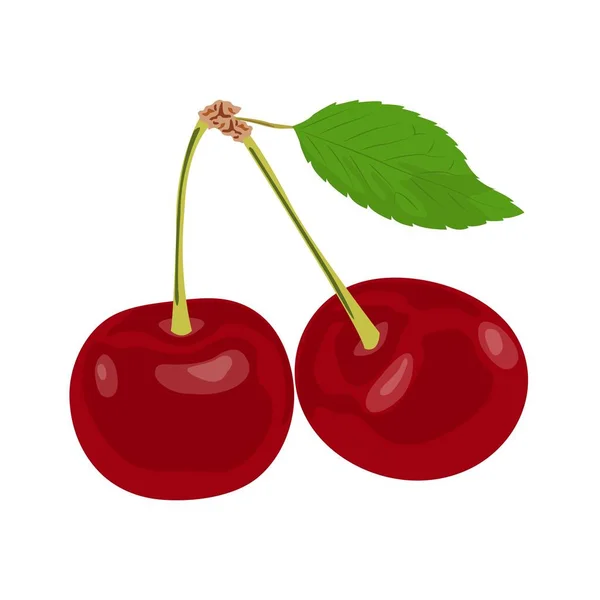 Cerises rouges mûres avec une feuille verte. — Image vectorielle