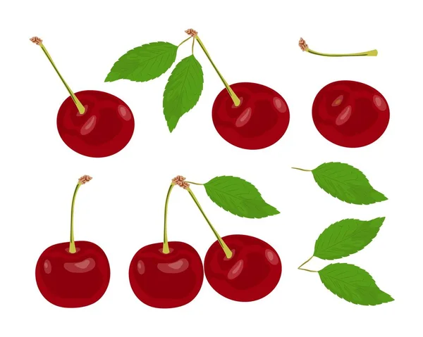Ensemble de cerises rouges mûres avec feuilles et tige — Image vectorielle