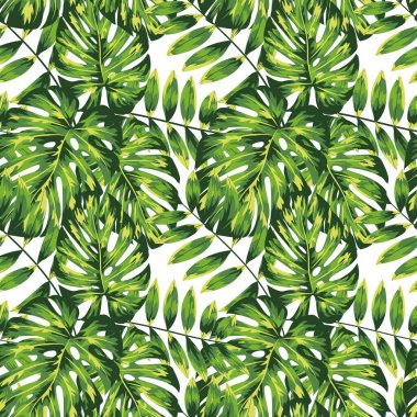 Güzel tropikal yapraklar