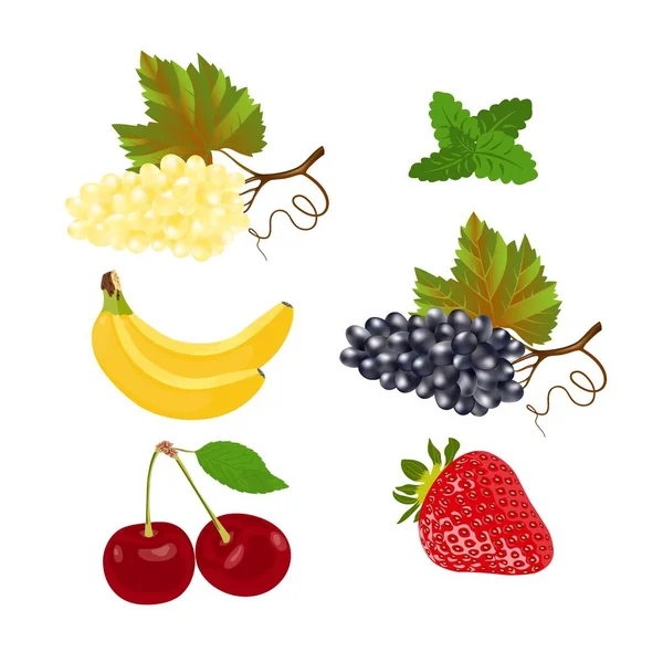 Ζουμερά φρούτα και μούρα που απομονώνονται σε λευκό — Διανυσματικό Αρχείο