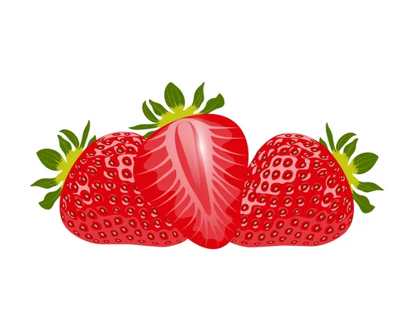 Erdbeere Nahaufnahme auf weißem Hintergrund. — Stockvektor