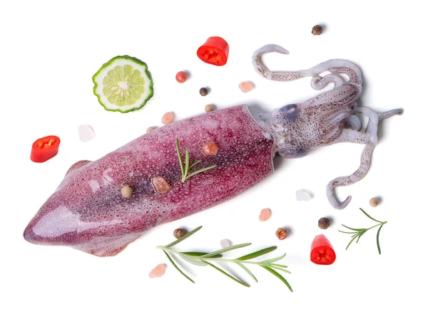 İzole mürekkep balığı. Beyaz arka planda baharatlı ve otlu taze mürekkep balığı. kırpma yolları ile.
