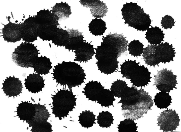 Μαύρο Μελάνι Πιτσιλάει Και Πέφτει Λευκό Φόντο Αφηρημένη Κρύα Χρώμα — Φωτογραφία Αρχείου